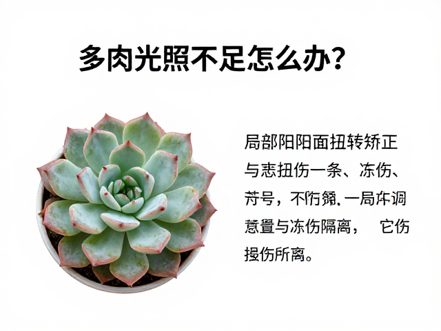 冻伤后的隔离与应急处理措施