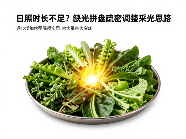 人工光源的补光逻辑