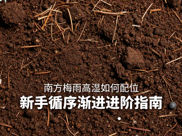配土后的养护与排水管理