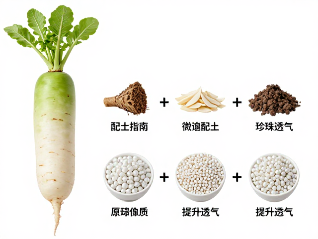 珍珠岩在提升透气性与根系健康中的具体作用机制