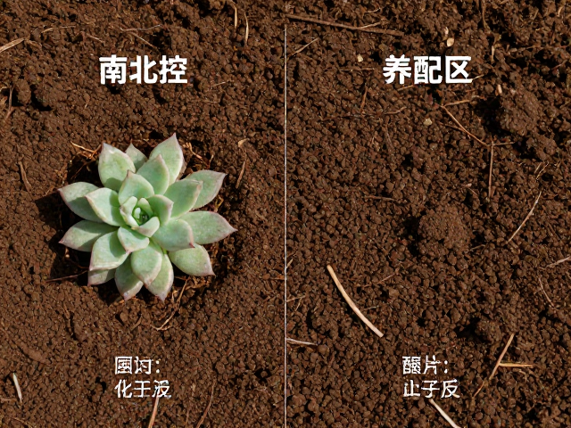 控养效果评估与长期养护中的土壤维护