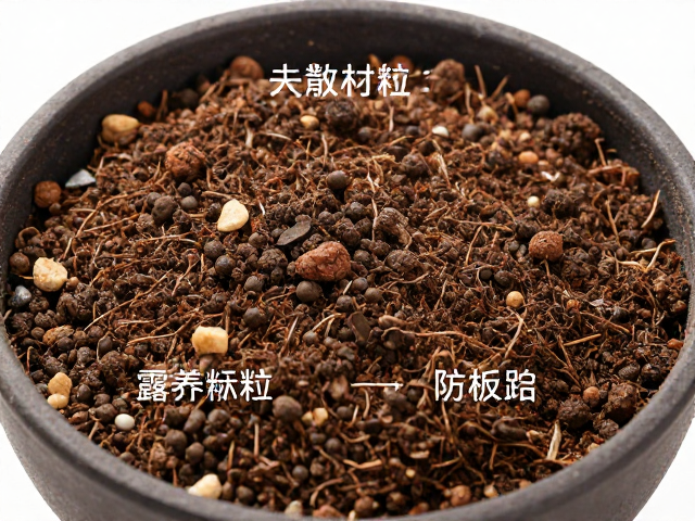 板结急救与土壤重构方案