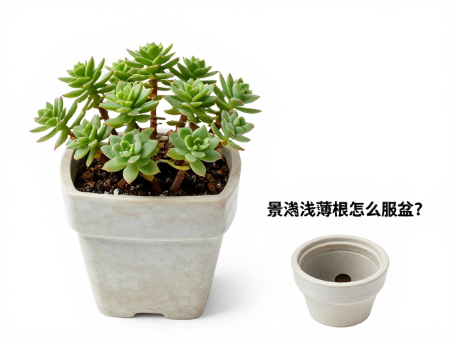 检查排水孔是关键