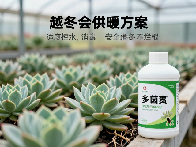 真菌预防与病害阻断措施
