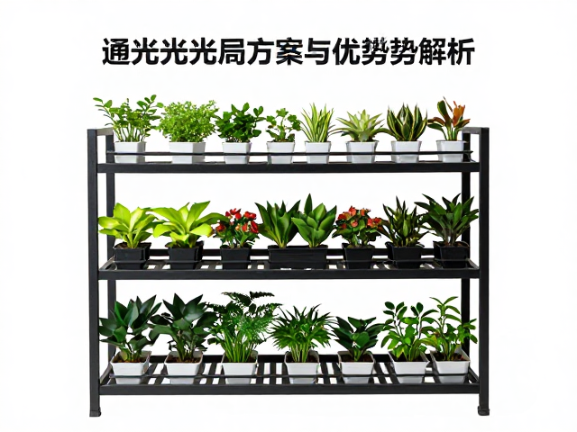 多层布局的优势与潜在风险解析