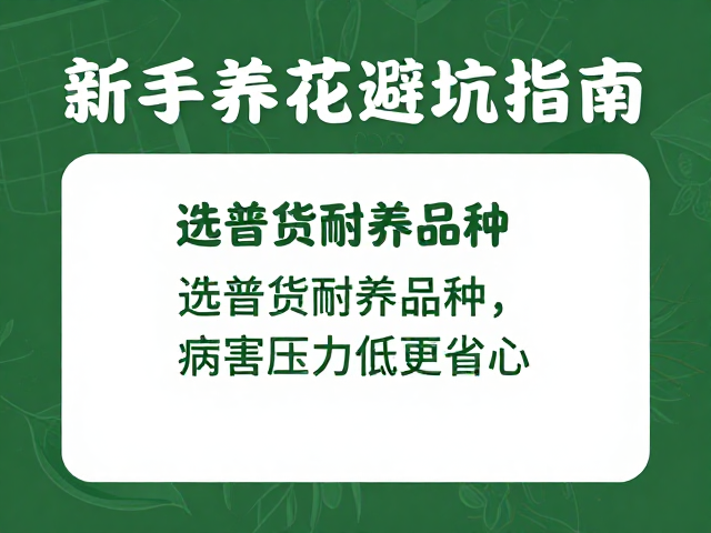 低成本土壤配置与日常维护细节