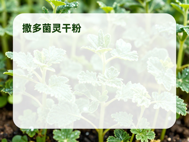 复壮期的长期养护衔接