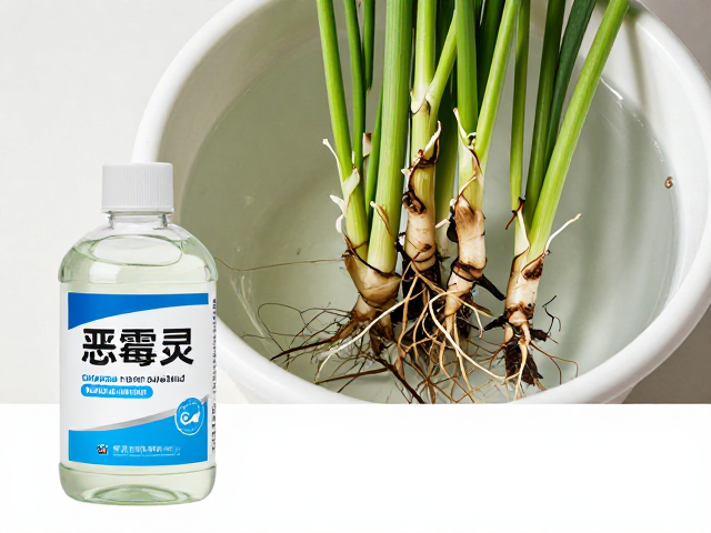 恶霉灵溶液配制与浸泡浓度控制