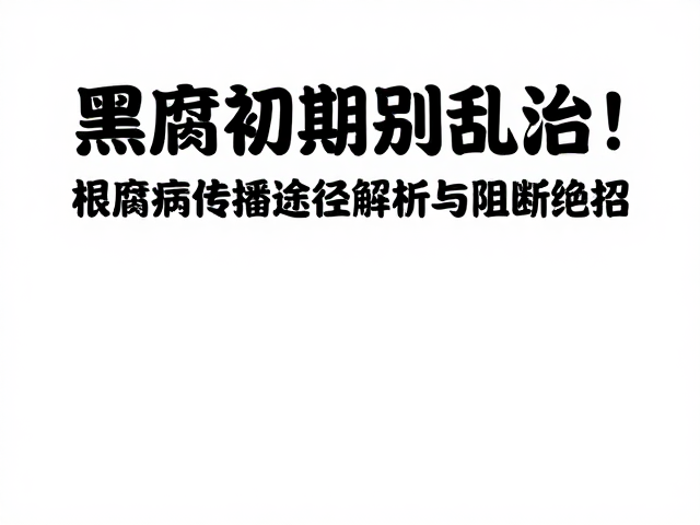 黑腐初期别乱治！根腐病传播途径解析与阻断绝招