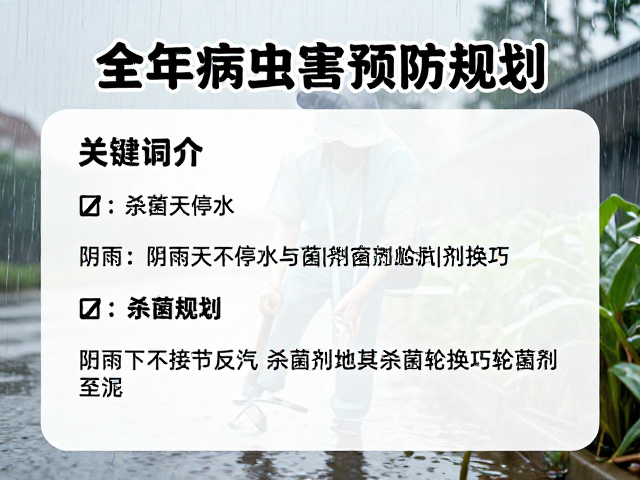 阴雨天停水与杀菌剂轮换技巧