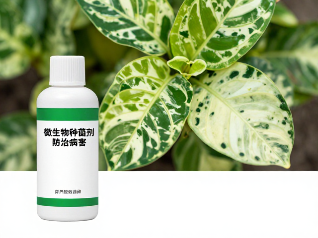 施药环境与后期管理的关键要点