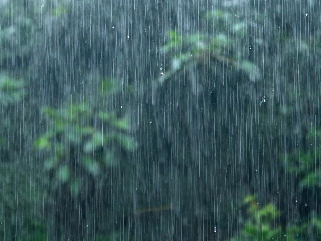 雨季避雨与物理隔离措施