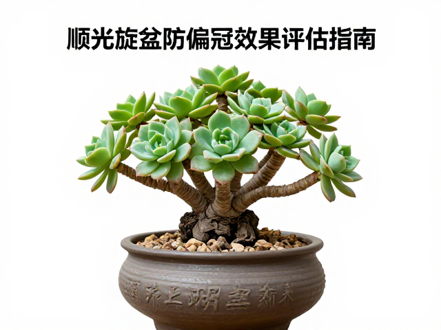 旋盆操作的标准化流程与频率控制