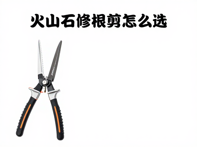选购时的实用细节检查