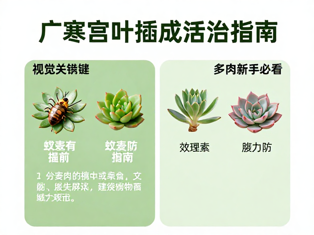 物理与化学防治策略