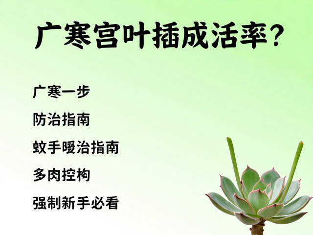 叶插实操与环境控制