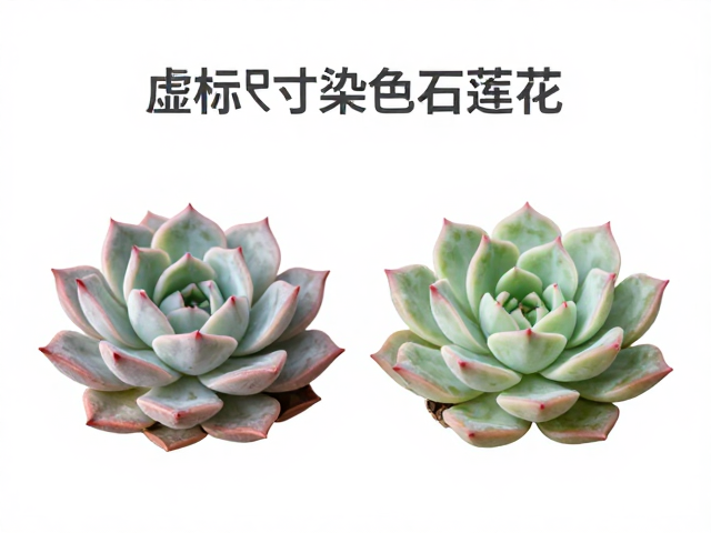 过度调色的健康隐患与养护还原