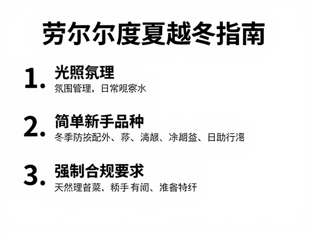光照管理与日常观察要点