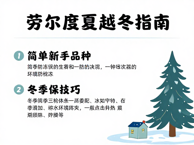 冬季防冻保温技巧：环境与物理防护