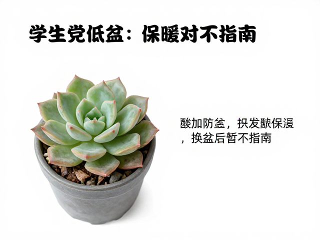 冬季防冻保温的具体操作细节