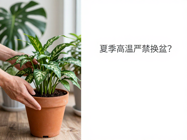 控温环境与操作细节