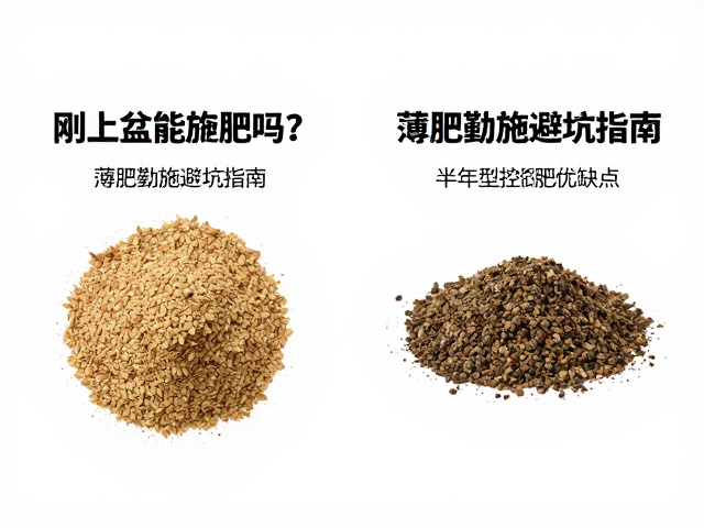 传统水溶肥的灵活性与潜在风险