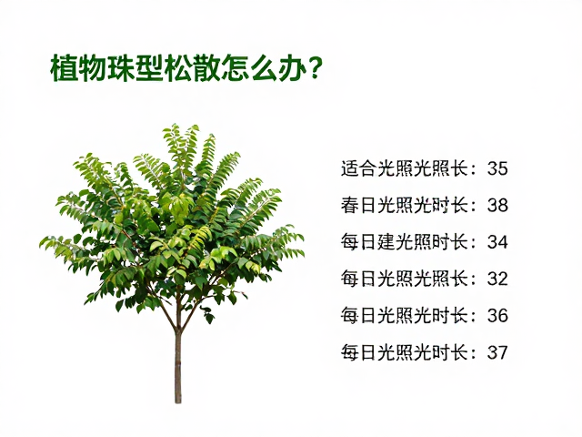 春秋季节适宜光照时长的科学参考