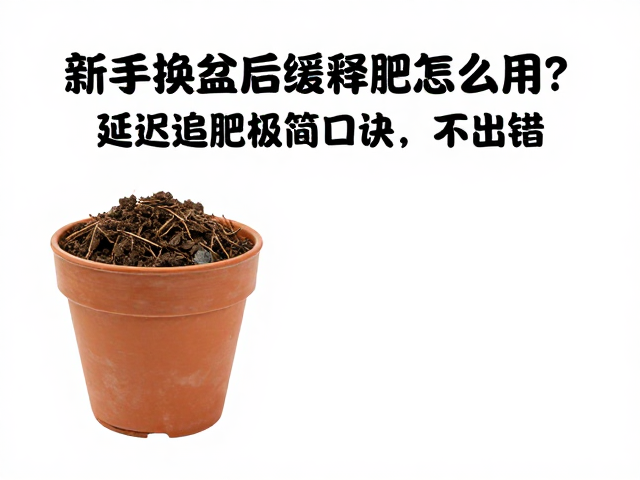 常见误区与环境变量调整