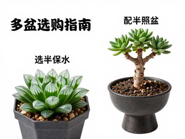 材质选择与环境适配的逻辑