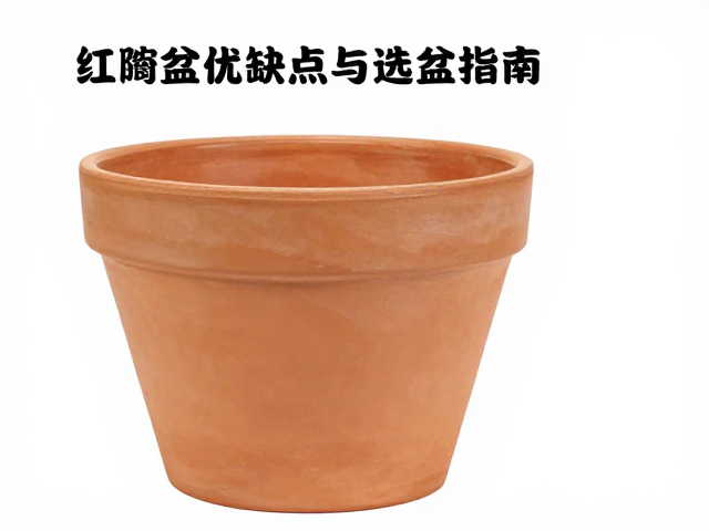 红陶盆优缺点与选盆指南，依场景定盆径，冬季保温保水更优