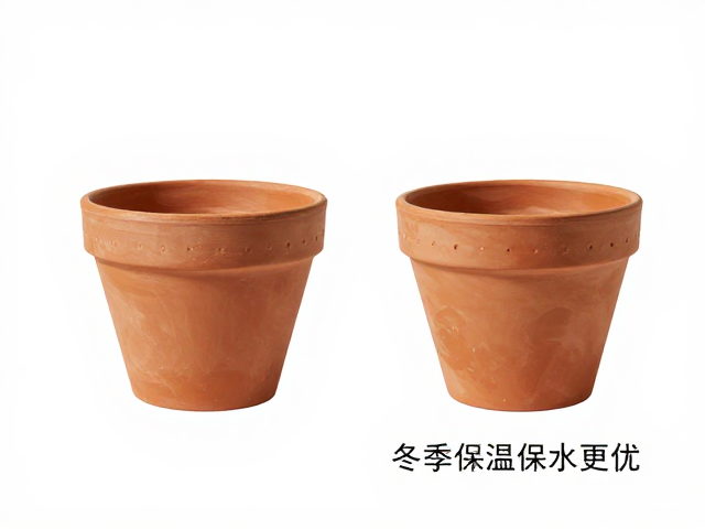 日常养护与长期维护要点