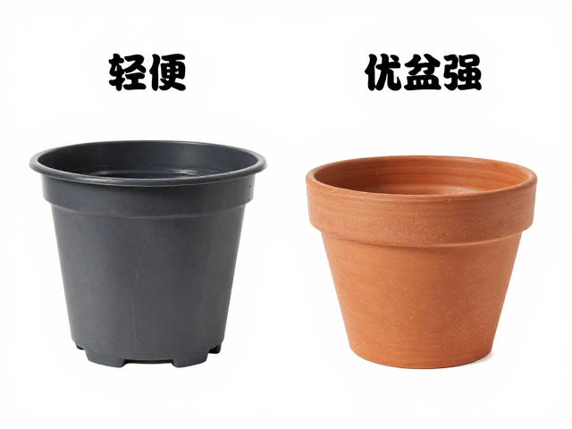 透气性与根系健康的潜在影响