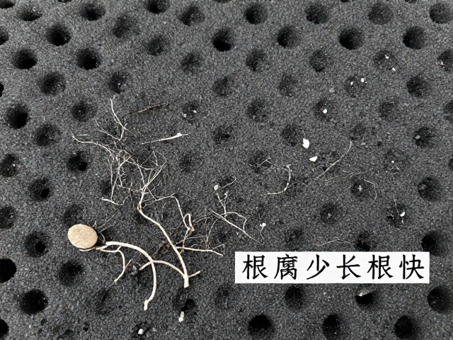 泡沫垫层的实际应用与潜在隐患