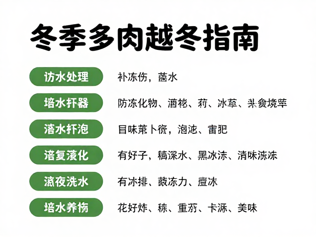 恢复期的浇水策略与营养补充