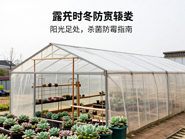 极端天气应对与春季过渡