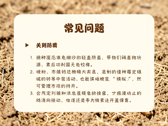应急处理与补救方案的实际应用