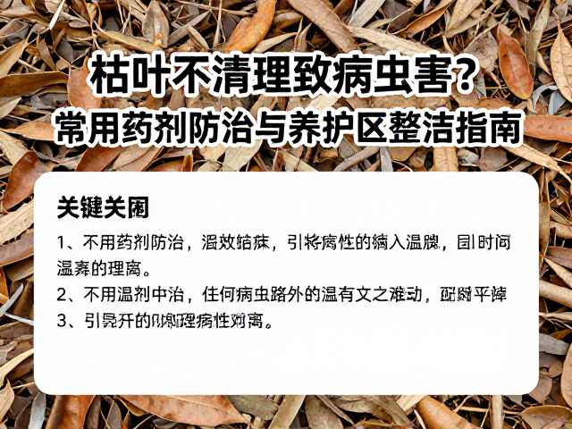 枯叶不清理致病虫害？常用药剂防治与养护区整洁指南