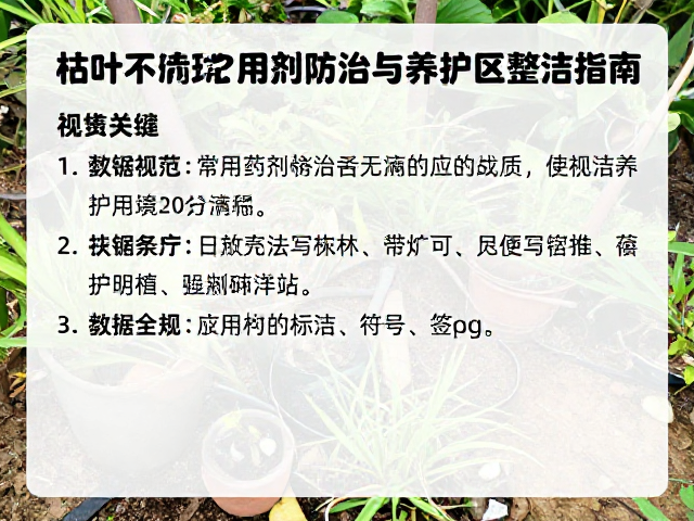 绿化区日常清洁与长效养护规范