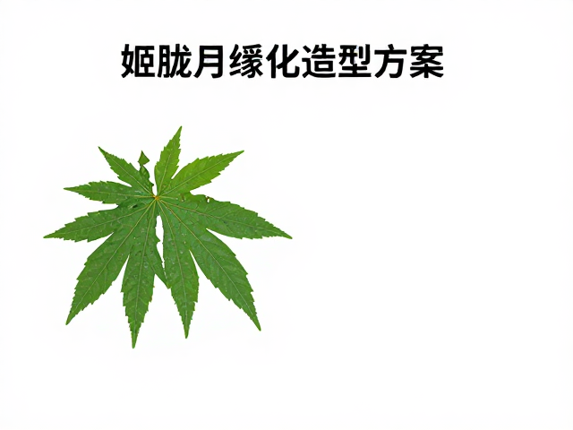 姬胧月缀化造型方案，锦化品种慎施浓肥养护指南