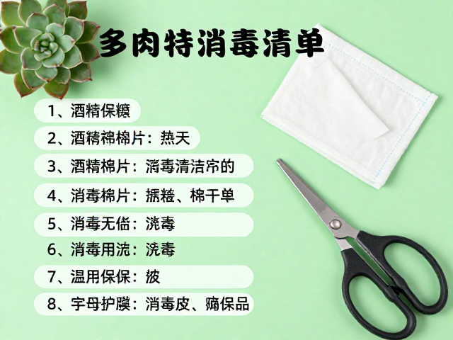 多肉养护消毒清单构建