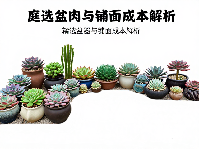 庭院多肉花境设计指南，精选盆器与铺面成本解析