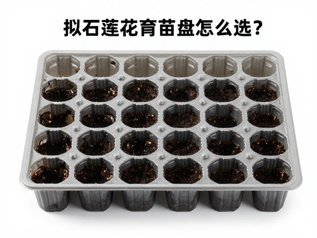 使用与维护要点影响育苗效果