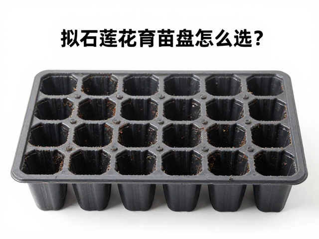材质选择需兼顾透气性与耐用度