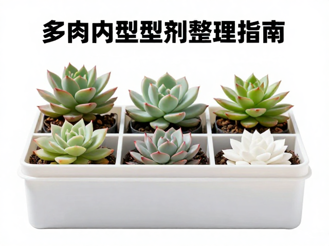 操作规范与应急处置预案