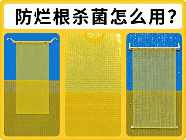 粘虫板失效的常见误区与维护要点