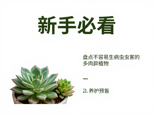 环境控制与日常养护要点