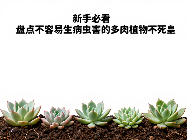 土壤配置与浇水策略