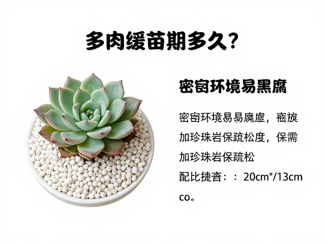 珍珠岩的保疏松度作用与配比建议