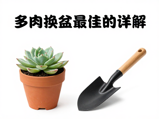 避坑指南:从浇水策略到常见误区规避