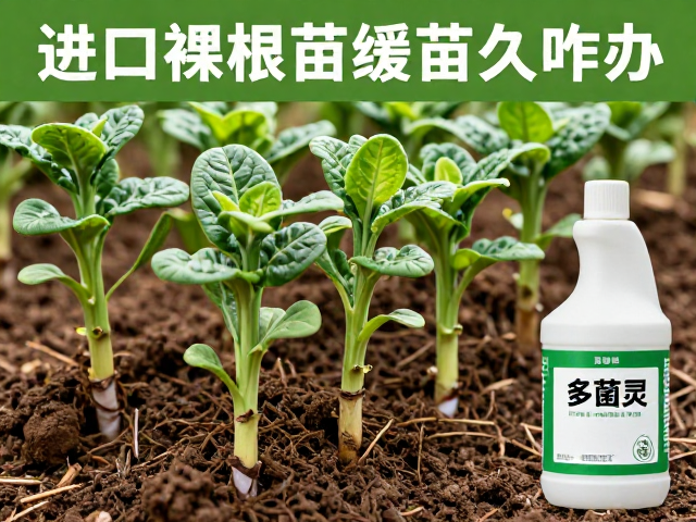 换土操作与多菌灵的使用逻辑